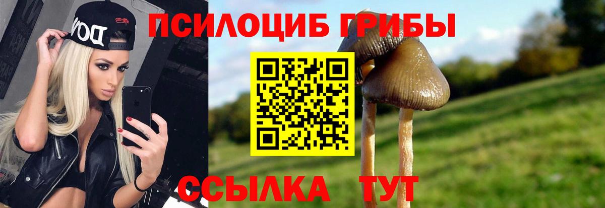 Псилоцибиновые грибы Cubensis  Вход с VPN  Галлюциногенные грибы прущие грибы  Армавир 