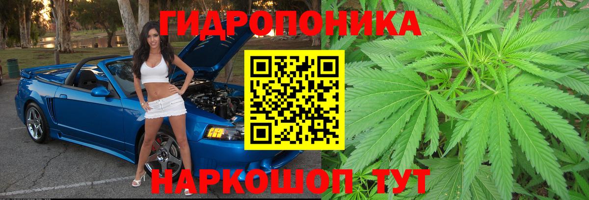 Конопля AK-47  Бошки марихуана VHQ  Армавир  Вход с VPN  Марихуана тримм  Марихуана планчик 